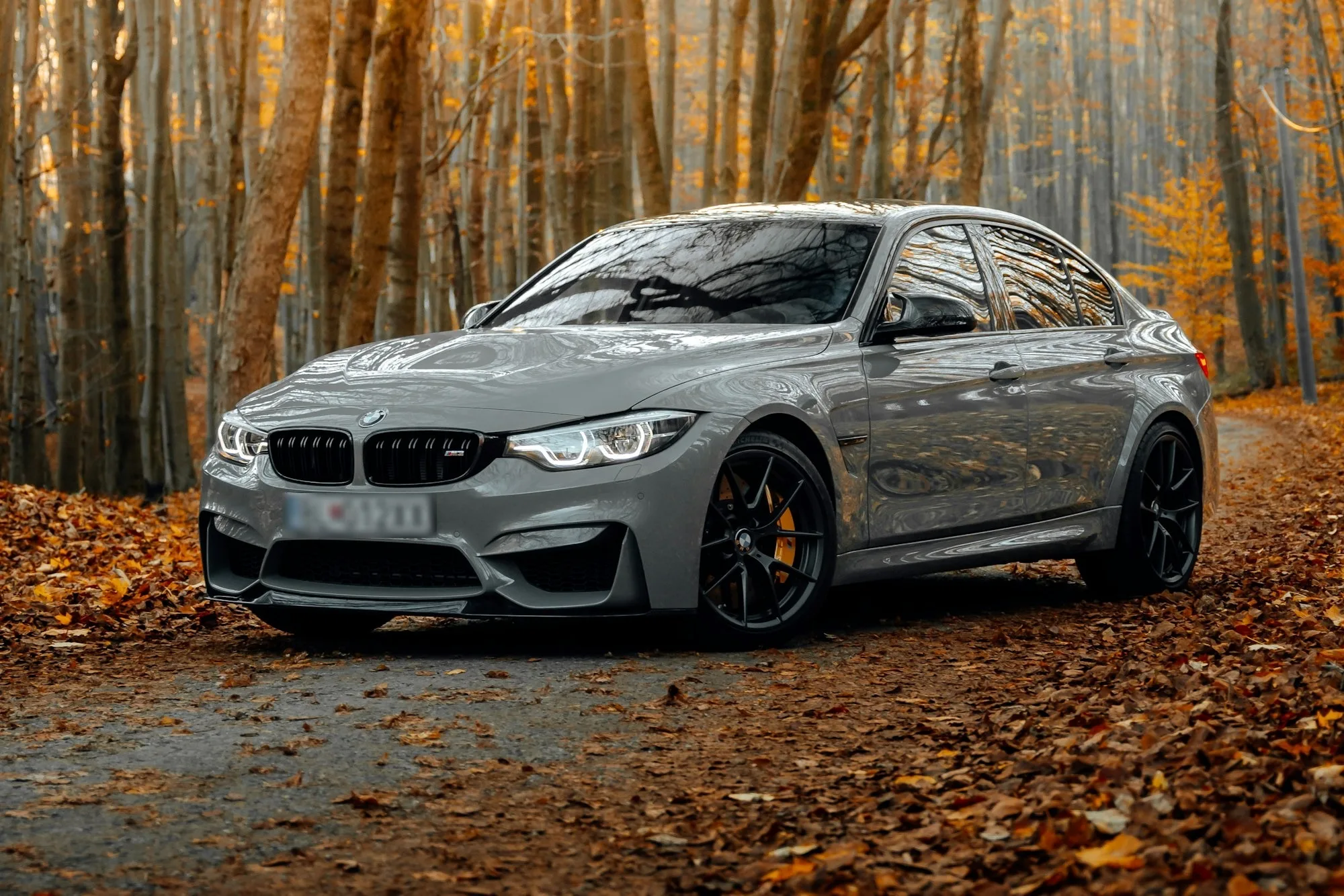 2018 BMW M3 "NARDO"